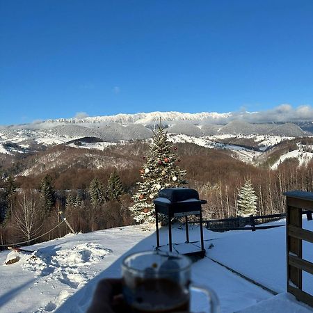 Cabanuta Din Munti Hotell Moieciu de Jos Exteriör bild