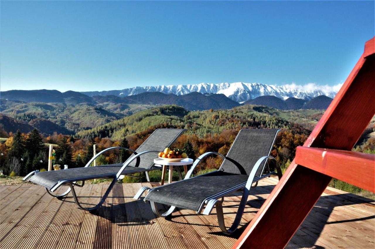Cabanuta Din Munti Hotell Moieciu de Jos Exteriör bild