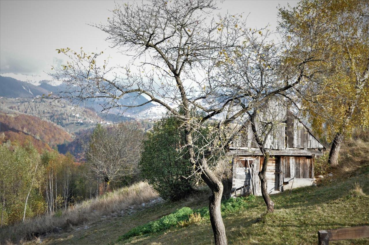 Cabanuta Din Munti Hotell Moieciu de Jos Exteriör bild