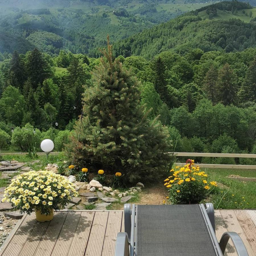 Cabanuta Din Munti Hotell Moieciu de Jos Exteriör bild