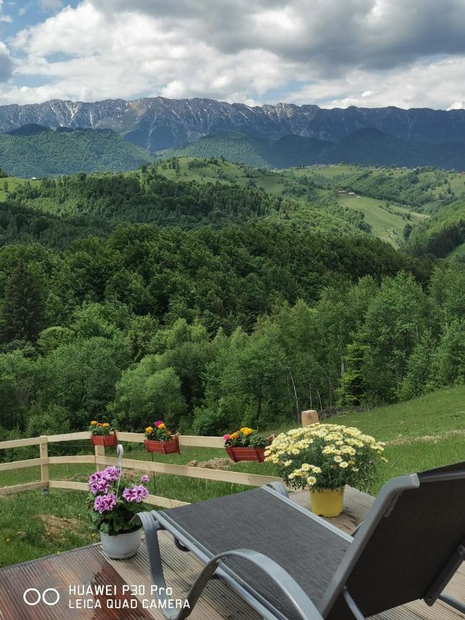 Cabanuta Din Munti Hotell Moieciu de Jos Exteriör bild