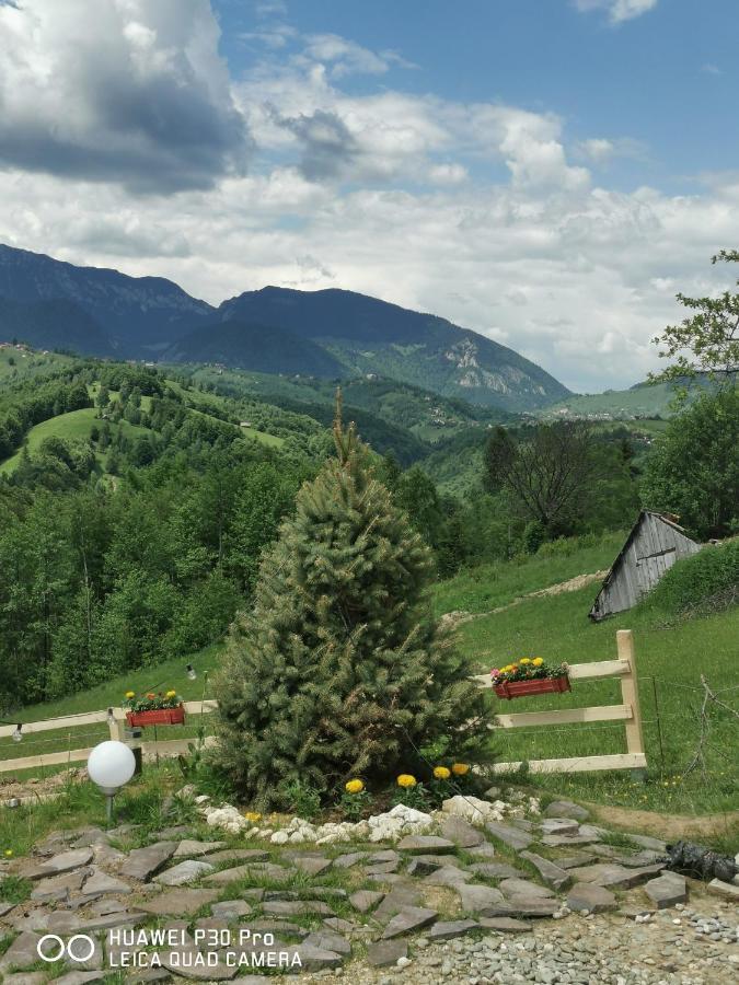 Cabanuta Din Munti Hotell Moieciu de Jos Exteriör bild