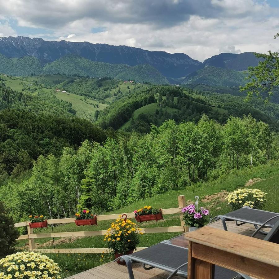 Cabanuta Din Munti Hotell Moieciu de Jos Exteriör bild
