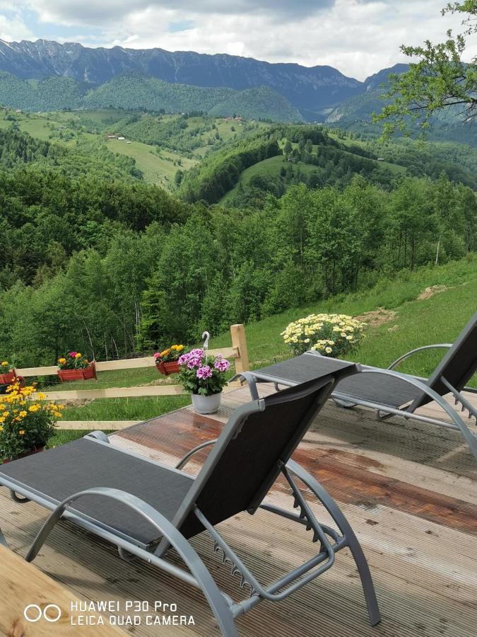 Cabanuta Din Munti Hotell Moieciu de Jos Exteriör bild