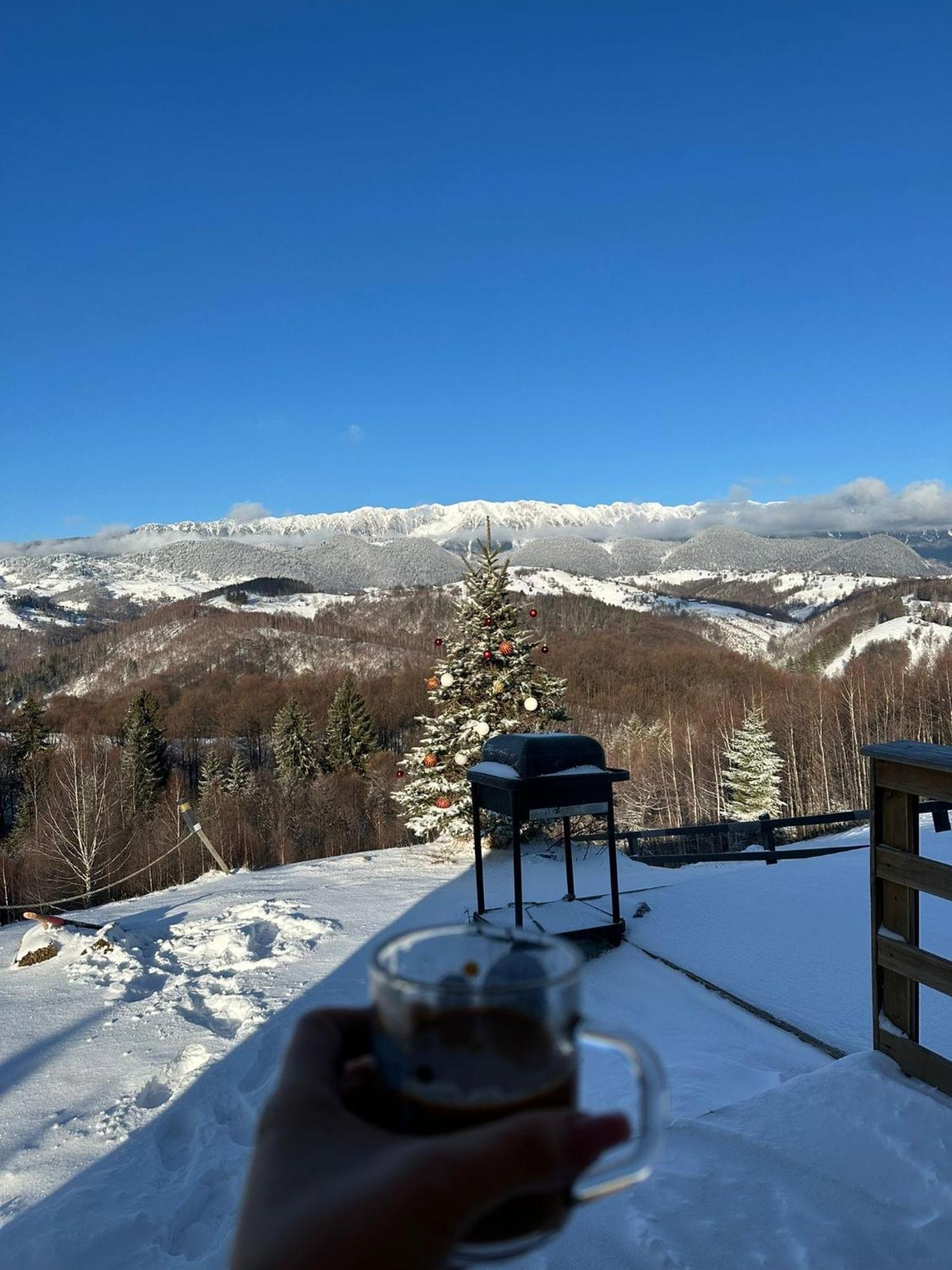 Cabanuta Din Munti Hotell Moieciu de Jos Exteriör bild