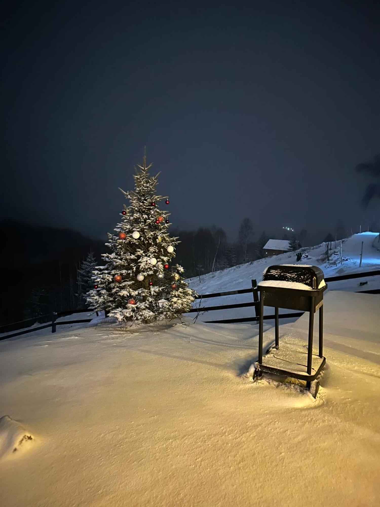 Cabanuta Din Munti Hotell Moieciu de Jos Exteriör bild