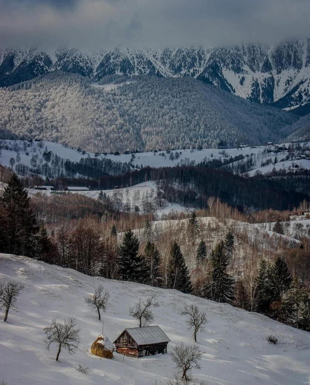 Cabanuta Din Munti Hotell Moieciu de Jos Exteriör bild